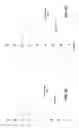 Fig. 07 - Intra-prediction with far neighboring pixels