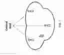 Fig. 08 - Beam management