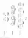 Fig. 09 - Uplink signal starting position in a wireless device and wireless network