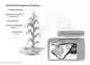 Fig. 01 - Endophytic microbial seed treatment formulations and methods related thereto for improved plant performance