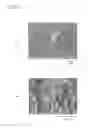 Fig. 09 - SYNTHETIC POLYMER FILM HAVING SURFACE PROVIDED WITH BACTERICIDAL ACTIVITY