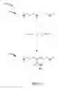 Fig. 06 - Antimicrobial ionene compositions with a variety of functional groups