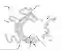 Fig. 01 - Hydrophilic polymers with antimicrobial functionalities