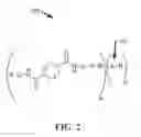 Fig. 03 - Hydrophilic polymers with antimicrobial functionalities
