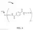 Fig. 07 - Hydrophilic polymers with antimicrobial functionalities