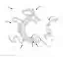 Fig. 01 - Monomer compositions with antimicrobial functionality