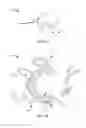 Fig. 02 - Monomer compositions with antimicrobial functionality