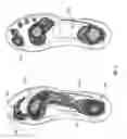 Fig. 07 - Detector system for use with footwear
