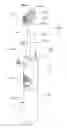 Fig. 01 - Oral care implement