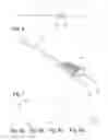 Fig. 04 - Illumination system for an endoscope
