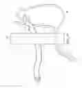 Fig. 12 - Surgical instrument for manipulating and passing suture