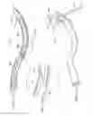 Fig. 43 - Surgical instrument for manipulating and passing suture