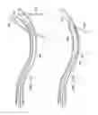 Fig. 53 - Surgical instrument for manipulating and passing suture
