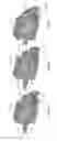 Fig. 06 - LEFT ATRIAL APPENDAGE OCCLUDER DEVICE
