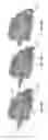 Fig. 09 - LEFT ATRIAL APPENDAGE OCCLUDER DEVICE