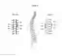 Fig. 07 - DEVICE AND METHOD FOR BONE ADJUSTMENT OPERATING WITH WIRELESS TRANSMISSION ENERGY
