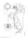 Fig. 02 - Graphical user interface (GUI) for displaying estimated cardiac catheter proximity to the esophagus