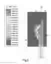 Fig. 06 - MICROWAVE INSTRUMENT