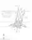 Fig. 08 - Vena-caval device