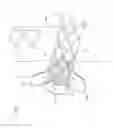 Fig. 09 - Vena-caval device