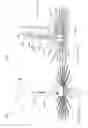 Fig. 46 - Device, system, and method for transcatheter treatment of valvular regurgitation