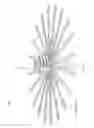 Fig. 49 - Device, system, and method for transcatheter treatment of valvular regurgitation