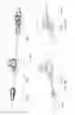 Fig. 75 - Device, system, and method for transcatheter treatment of valvular regurgitation