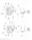 Fig. 93 - Device, system, and method for transcatheter treatment of valvular regurgitation
