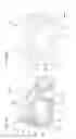 Fig. 02 - Expandable implant