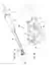 Fig. 06 - Expandable implant