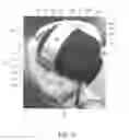 Fig. 07 - HEAD IMMOBILIZATION AID WITH ADJUSTABLE SUPPORTS