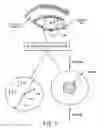 Fig. 02 - METHODS FOR TREATING EYE CONDITIONS