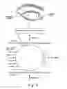 Fig. 06 - METHODS FOR TREATING EYE CONDITIONS