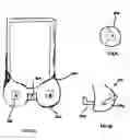 Fig. 05 - SYSTEMS AND METHODS FOR CONTROLLING SEXUAL STIMULATION DEVICES