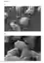 Fig. 03 - Particle size stabilization process