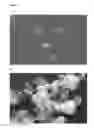 Fig. 04 - Particle size stabilization process
