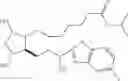 Fig. 71 - COMPOSITIONS AND METHODS FOR TREATING HAIR LOSS USING NON-NATURALLY OCCURRING PROSTAGLANDINS