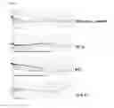 Fig. 03 - Composition for improving skin condition comprising chemokines