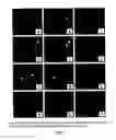 Fig. 03 - Carbohydrate-Derivatized Liposomes for Targeting Cellular Carbohydrate Recognition Domains of Ctl/Ctld Lectins, and Intracellular Delivery of Therapeutically Active Compounds