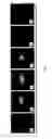 Fig. 07 - Carbohydrate-Derivatized Liposomes for Targeting Cellular Carbohydrate Recognition Domains of Ctl/Ctld Lectins, and Intracellular Delivery of Therapeutically Active Compounds