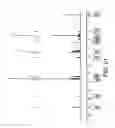 Fig. 22 - TREATMENT OF A HEMATOLOGIC MALIGNANCY WITH 2-(4-CHLOROPHENYL)-N-((2-(2,6-DIOXOPIPERIDIN-3-YL)-1-OXOISOINDOLIN-5-YL)METHYL)-2,2-DIFLUOROACETAMIDE