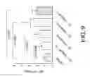 Fig. 10 - Composition and method for reducing neutropenia
