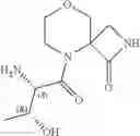Fig. 80 - Spiro-lactam NMDA receptor modulators and uses thereof
