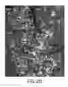 Fig. 08 - Methods and compositions for treating diseases and conditions