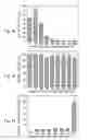 Fig. 07 - Polymer nanoparticle, polymer composition, method of making a polymer nanoparticle, method for treatment of bacterial biofilms, and method for detection of bacterial biofilms