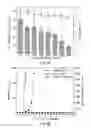 Fig. 08 - Polymer nanoparticle, polymer composition, method of making a polymer nanoparticle, method for treatment of bacterial biofilms, and method for detection of bacterial biofilms
