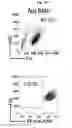 Fig. 02 - IMMORTALIZED CAR-T CELLS GENETICALLY MODIFIED TO ELMINATE T-CELL RECEPTOR AND BETA 2-MICROGLOBULIN EXPRESSION