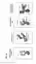 Fig. 02 - CD155 variant immunomodulatory proteins and uses thereof