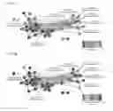 Fig. 02 - Modulation of fat storage in a subject by altering population levels of Christensenellaceae in the GI tract