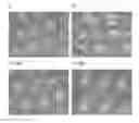 Fig. 01 - Active substance of , its use and a composition thereof for improving the reproductive function